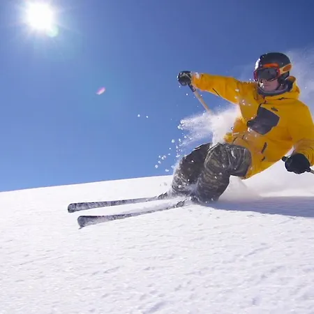 Apartament Alpin Penthouse Hollersbach