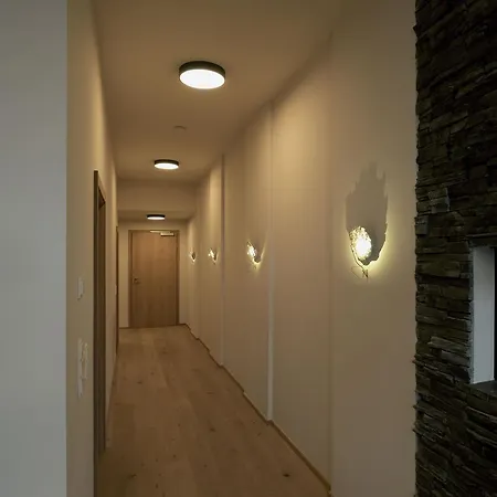 Apartman Alpin Penthouse Hollersbach *