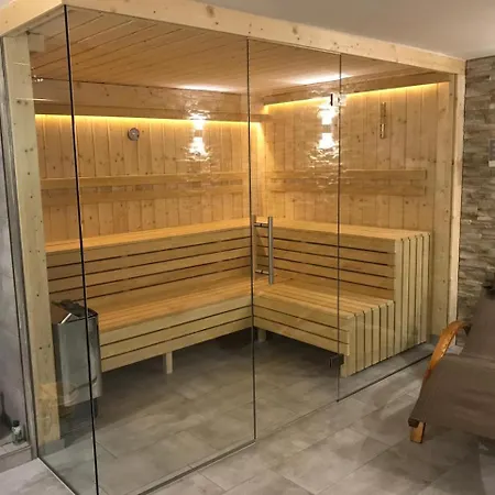 Alpin Penthouse Hollersbach Apartman