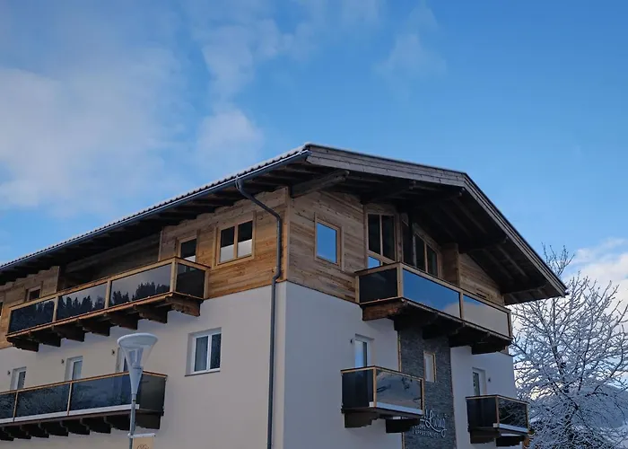 Alpin Penthouse Hollersbach 胡勒斯巴赫平