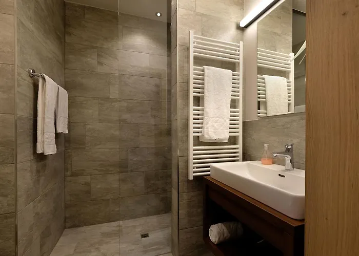 Alpin Penthouse Hollersbach هولرسباخ ام بنزغ